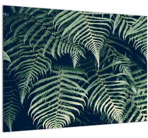 Skleněný obraz listů kapradin (70x50 cm)