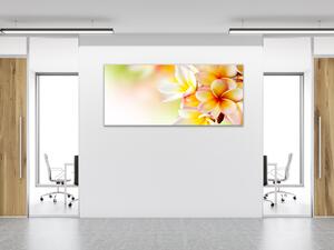 Obraz skleněný žluté květy plumerie - 40 x 60 cm