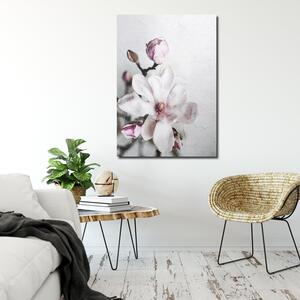Obraz na plátně Bílý květ magnólie - Dmitry Belov Rozměry: 40 x 60 cm