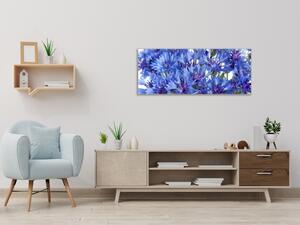 Obraz skleněný detail květy chrpy - 60 x 150 cm