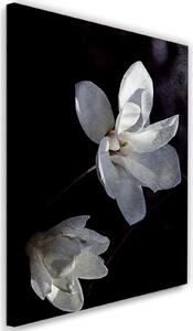 Obraz na plátně Květ z kvetoucího stromu - Dmitry Belov Rozměry: 40 x 60 cm