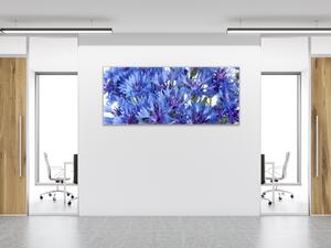 Obraz skleněný detail květy chrpy - 60 x 150 cm