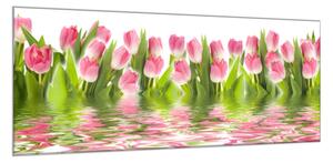 Obraz skleněný květy růžové tulipány v hladině vody - 30 x 60 cm