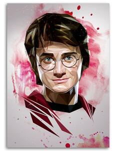 Obraz na plátně Harry Potter, čaroděj - Dmitry Belov Rozměry: 40 x 60 cm