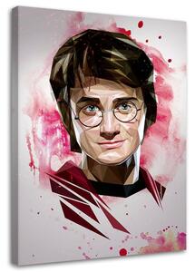 Obraz na plátně Harry Potter, čaroděj - Dmitry Belov Rozměry: 40 x 60 cm