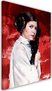 Obraz na plátně Star Wars, portrét Leia - Dmitry Belov Rozměry: 40 x 60 cm