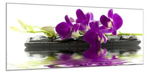 Obraz skleněný temný květ orchideje na kameni a hladině - 50 x 100 cm