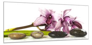 Obraz skleněný květ fialova exotická orchidej a kameny - 100 x 150 cm