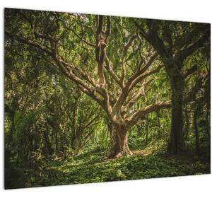 Skleněný obraz stromu (70x50 cm)