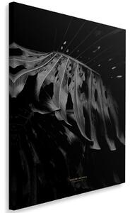 Obraz na plátně Černobílá monstera - Dmitry Belov Rozměry: 40 x 60 cm