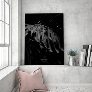 Obraz na plátně Černobílá monstera - Dmitry Belov Rozměry: 40 x 60 cm