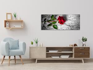 Obraz skleněný květ červená růže na dřevě - 50 x 70 cm