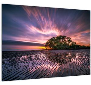 Skleněný obraz pláže při západu slunce (70x50 cm)