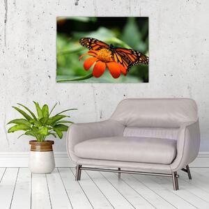Skleněný obraz motýla na květině (70x50 cm)