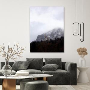 Obraz na plátně Neuschwanstein - Dmitry Belov Rozměry: 40 x 60 cm