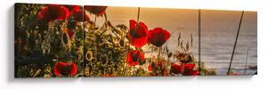 Obraz západu slunce s vlčími máky (170x50 cm)