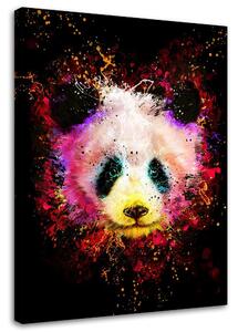 Obraz na plátně Duhová panda - Dmitry Belov Rozměry: 40 x 60 cm