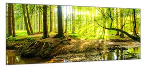Obraz skleněný zelený les a potok - 30 x 60 cm
