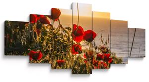 Obraz západu slunce s vlčími máky (210x100 cm)