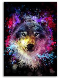 Obraz na plátně Barevný vlk - Dmitry Belov Rozměry: 40 x 60 cm