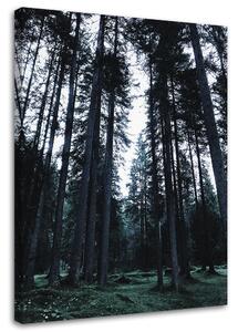 Obraz na plátně Les v zamračeném dni - Dmitry Belov Rozměry: 40 x 60 cm