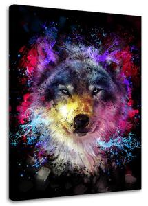Obraz na plátně Barevný vlk - Dmitry Belov Rozměry: 40 x 60 cm