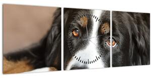 Obraz psa (s hodinami) (90x30 cm)