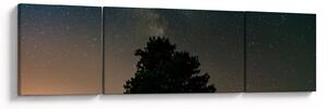 Obraz noční oblohy se stromy (170x50 cm)