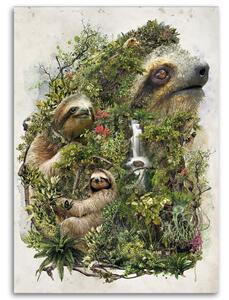 Obraz na plátně Lenochod v lese - Barrett Biggers Rozměry: 40 x 60 cm