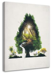 Obraz na plátně Cesta ve stromě - Barrett Biggers Rozměry: 40 x 60 cm
