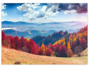 Skleněný obraz barevné podzimní krajiny (70x50 cm)