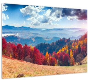 Skleněný obraz barevné podzimní krajiny (70x50 cm)
