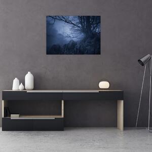Skleněný obraz temného lesa (70x50 cm)