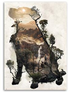 Obraz na plátně Pes a cesta lesem - Barrett Biggers Rozměry: 40 x 60 cm