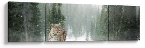 Obraz leoparda ve sněhu (170x50 cm)