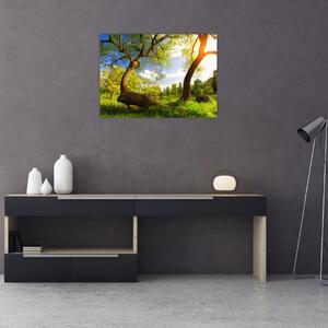 Skleněný obraz jarní louky (70x50 cm)