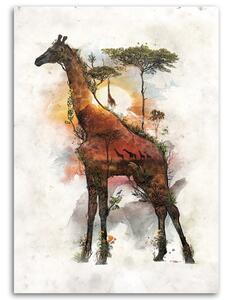 Obraz na plátně Žirafa a Afrika v pozadí - Barrett Biggers Rozměry: 40 x 60 cm