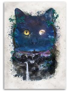 Obraz na plátně Černá kočka v noci - Barrett Biggers Rozměry: 40 x 60 cm