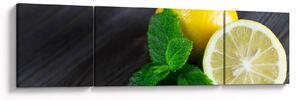 Obraz citrónů a máty na stole (170x50 cm)