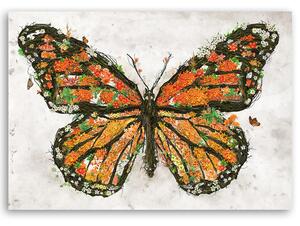 Obraz na plátně Motýl a kouzelná křídla - Barrett Biggers Rozměry: 60 x 40 cm