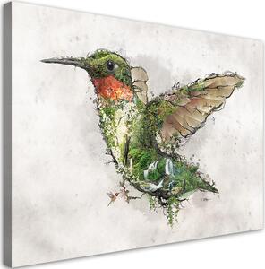 Obraz na plátně Kolibřík a kouzelný les - Barrett Biggers Rozměry: 60 x 40 cm