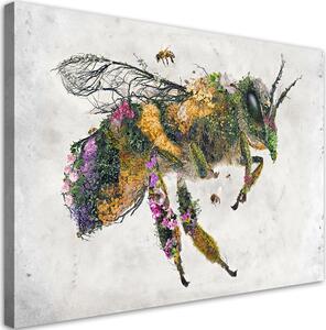 Obraz na plátně Květinová včela - Barrett Biggers Rozměry: 60 x 40 cm