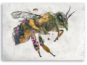 Obraz na plátně Květinová včela - Barrett Biggers Rozměry: 60 x 40 cm