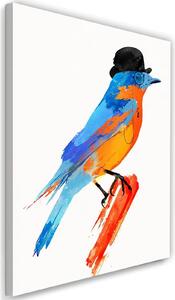 Obraz na plátně Barevný pták v klobouku - Robert Farkas Rozměry: 40 x 60 cm