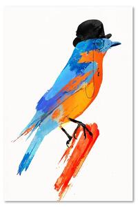 Obraz na plátně Barevný pták v klobouku - Robert Farkas Rozměry: 40 x 60 cm