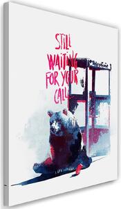 Obraz na plátně Sedící medvěd pod prodejním automatem - Robert Farkas Rozměry: 40 x 60 cm