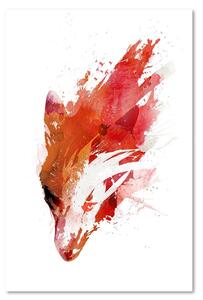 Obraz na plátně Červeno-oranžová liška - Robert Farkas Rozměry: 40 x 60 cm
