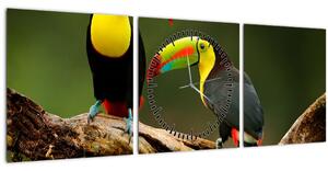 Obraz sedících tukanů, Costa Rica (s hodinami) (90x30 cm)
