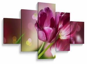 Obraz růžových tulipánů (125x70 cm)
