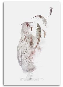 Obraz na plátně Létající sova - Robert Farkas Rozměry: 40 x 60 cm